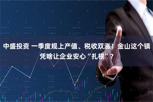 中盛投资 一季度规上产值、税收双涨！金山这个镇凭啥让企业安心“扎根”？